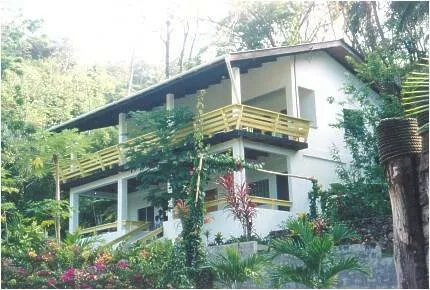 Photo near Blanchisseuse, Trinidad
