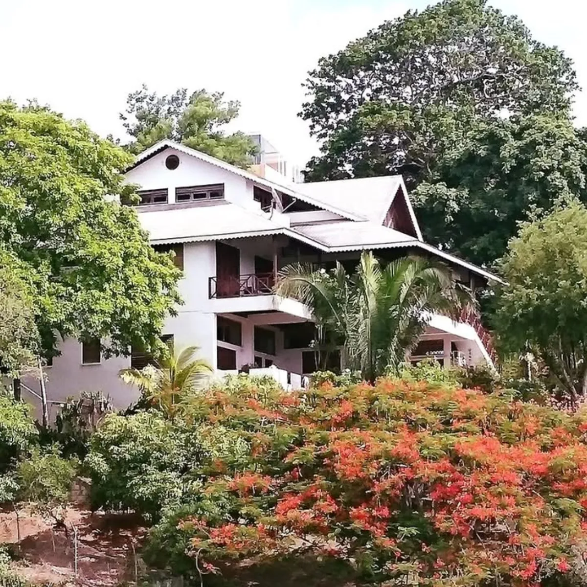 Photo near Buccoo, Tobago